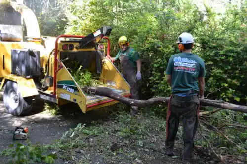 tree services Tustin